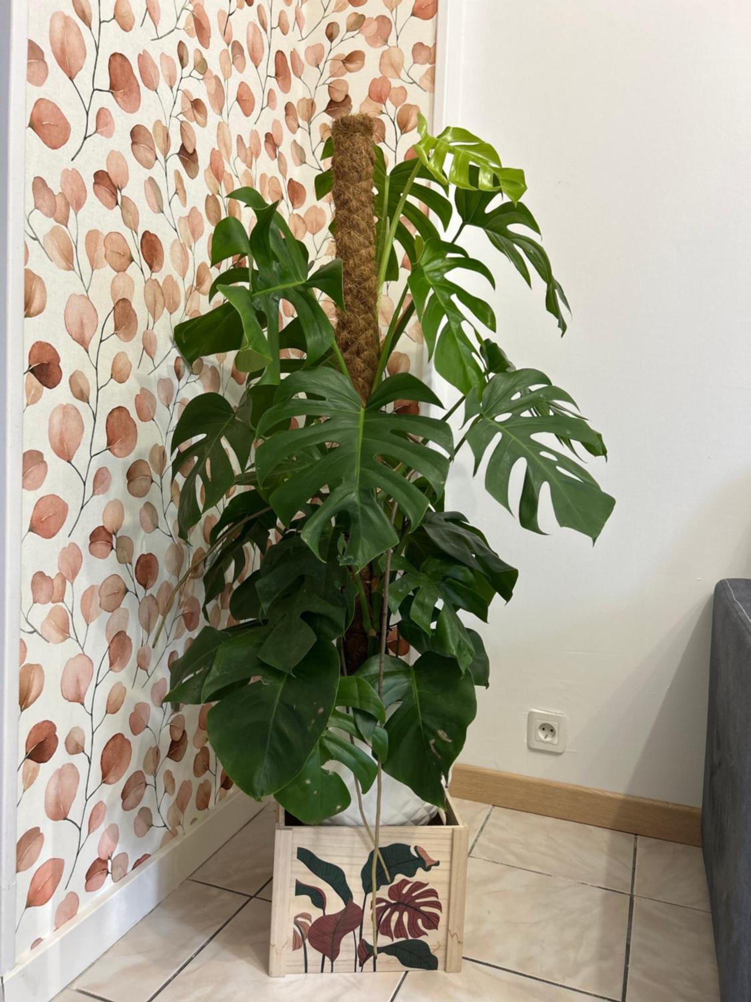 Home Lyla Дижон Екстериор снимка